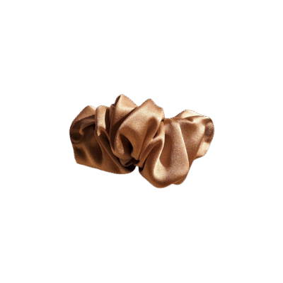 Šilko plaukų segtukas (nude sp.)