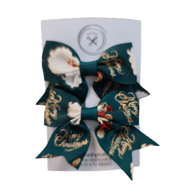 Kalėdinis segtukas (žalios sp.)