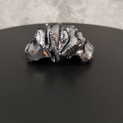 Plaukų segtukas Blizgutis