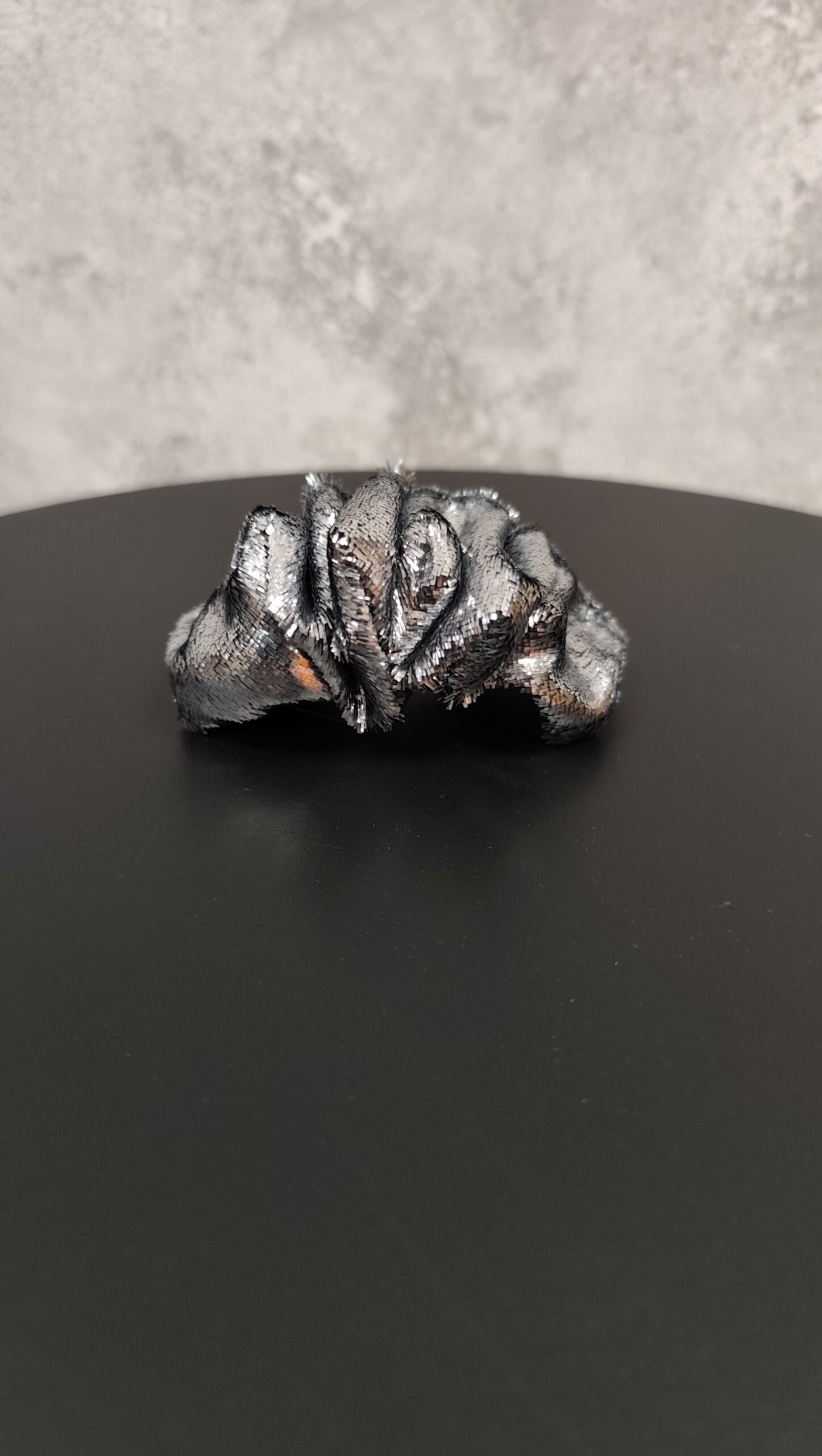 Plaukų segtukas Blizgutis